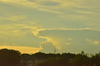 DSC_3805 (Large).JPG